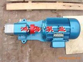 潤滑泵-潤滑油泵-不銹鋼外潤滑泵